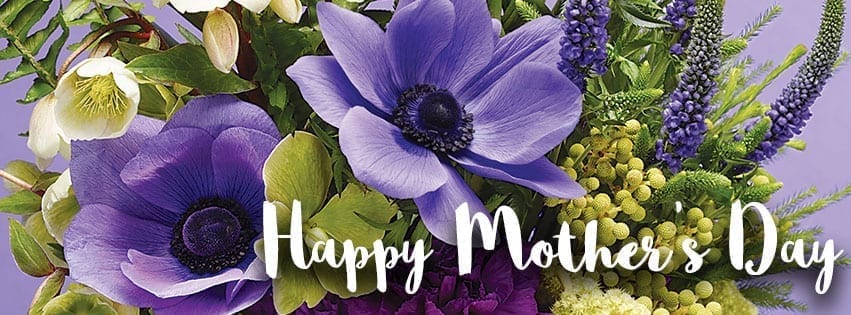 Admin Professional week