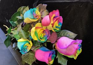 Rainbow Coloured Roses