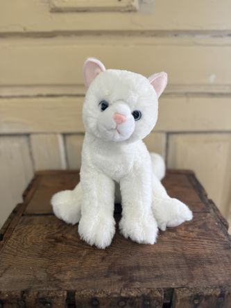 Winnie Cat