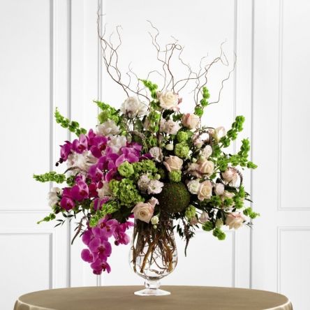 The Soft Sophistication Arrangement