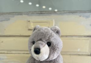 Truman Grey Bear