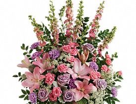 Soft Blush Tribute