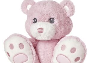 Pink Teddy Bear