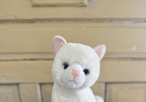 Winnie Cat