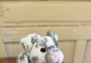 Zoinkie Soft Spotted Pig