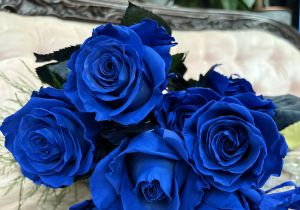 Brilliantly Blue Roses by the Dozen