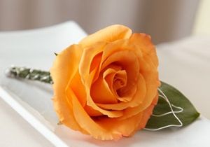 The Romantic Sunrise Boutonniere