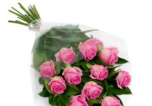 Pretty Pink Roses by the Dozen