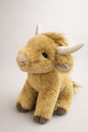 Scottie the Highland Cow