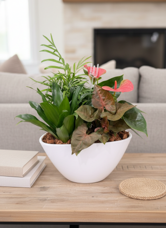 Signature Tropical Garden 