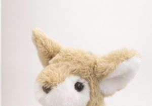 Sweet Baby Fawn 