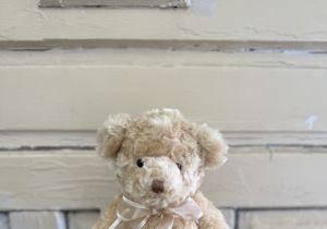 Tender Teddy 