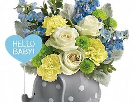 Hello Baby Boy!