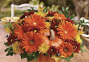 Bloomkin
