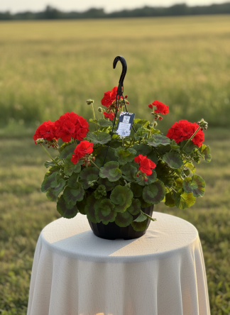 Mother's Day Hanging Basket 