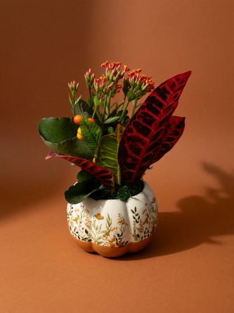 The Pumpkin Planter