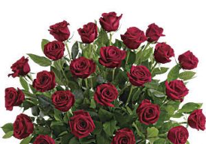 Teleflora's Rose Tribute Bouquet