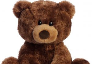 Huggable Plush Bear