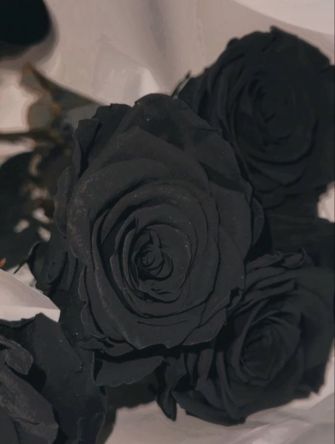 Eternal Love Black Roses by the Dozen