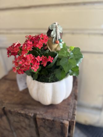 Pumpkin Patch Planter