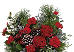 Teleflora's Cardinal Cheer 