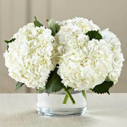The White Hydrangea Bouquet